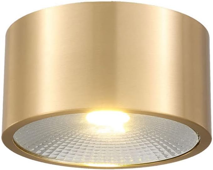 USMJQVZ LED Ceiling Spot Light Indoor 3W,5W,7W,9W Gold Brushed Brass Downlight, Modern Nordic LED Ceiling Spotlight Flush Mount for Living Room Bedroom