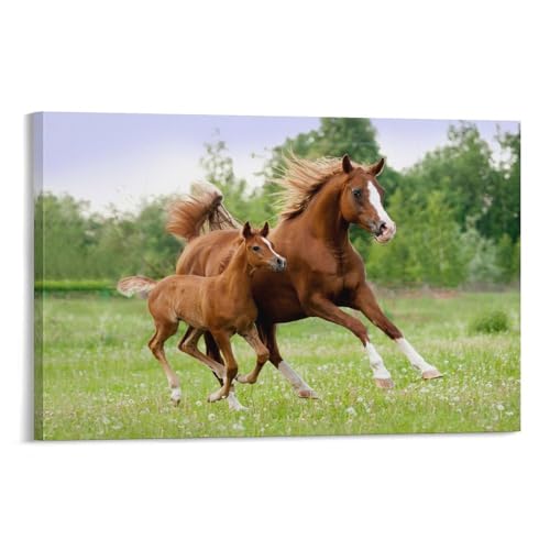 n A[gG i|X^[ (8) vg  EH[A[g xbh[ ŉ CeA08x12inch(20x30cm)