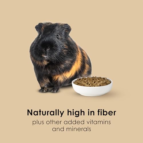 Kaytee Timothy Complete Guinea Pig Food, Made with Timothy Hay, High in Fiber, Supports Dental Health and Digestion, Long-lasting Vitamin C, 9.5 pounds - Image 6