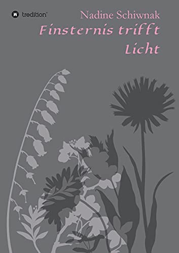Finsternis trifft Licht (German Edition)