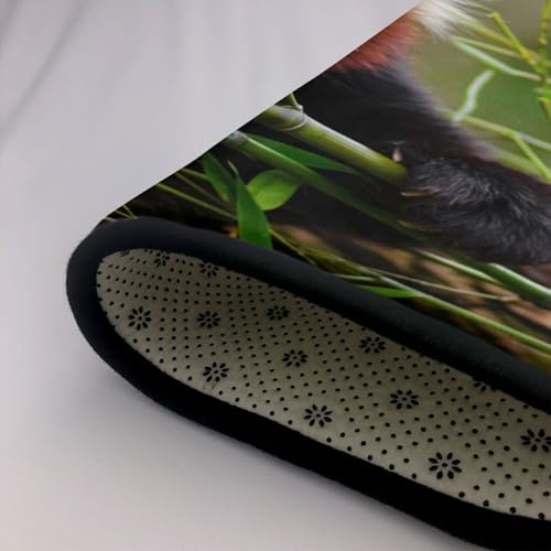 Tapis lavable et antidérapant pour chambre d'enfant sans taches