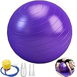 65Cm Balones De Ejercicio Pelota De Ejercicio Profesional Bomba De Aire Pelota De Ejercicio Anti Burst para Gimnasia Pelota De Estabilidad Anti-Estallido para Entrenamiento De Núcleo, Fisioterapia