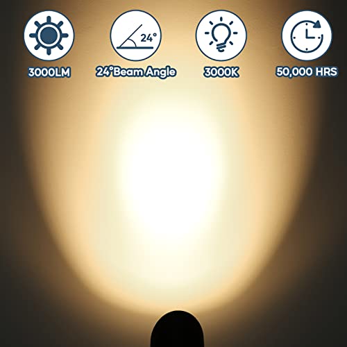 Image of 30W LED Spotlight Outdoor 120V Waterproof Spot Light 3000LM Ultra Bright Spot Lights Outdoor Warm White Landscape Lighting with 5FT Cord with Plug for Flag Pole Tree Yard Garden(2pack)