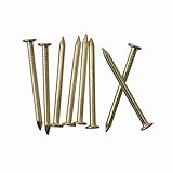 550pcs Gold Hardware Nails - 1' x 16 Ga Brass Plated Wood Nails for Hanging Pictures and Finishing