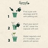 Sprout World B0CHJLQ8HQ lato 3