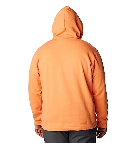 Image of Columbia mens Trek Hoodie