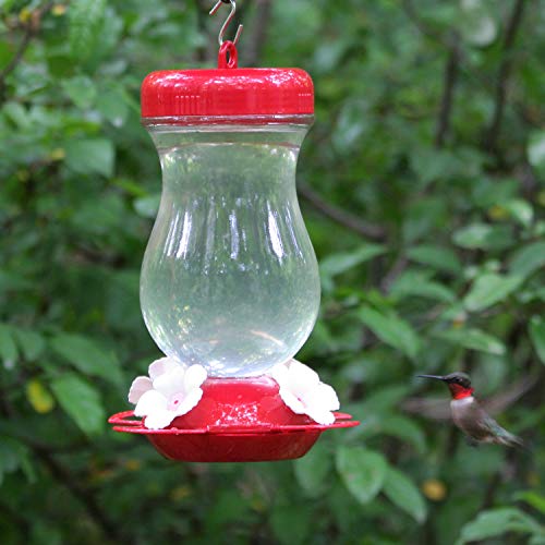 Perky-Pet 132TF 24-Ounce Glass Top Fill Hummingbird Feeder,Red,Large - Image 5