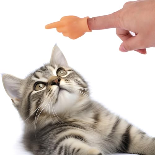 ʔ L炵 L̂ Ȏ wl` _炩 Lk nhf ~j`Aw lC 킢 L  炩p ʐ^ ybgp (D^Cv)