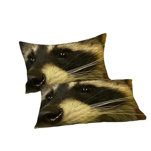 Housse de couette raton laveur microfibre sans repassage pour lit