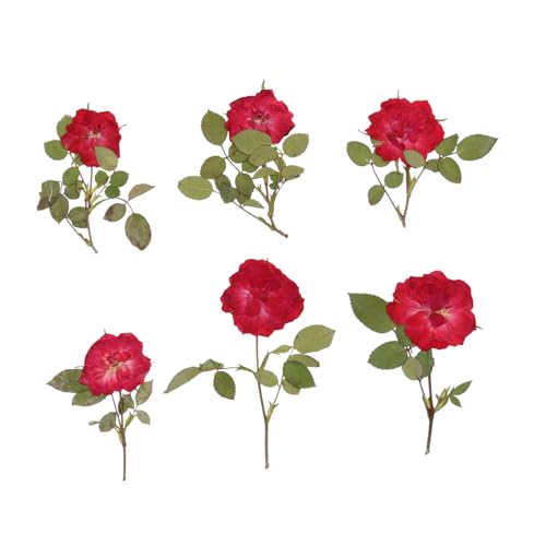 Flores secas rosas para decoración y manualidades miniatura 1
