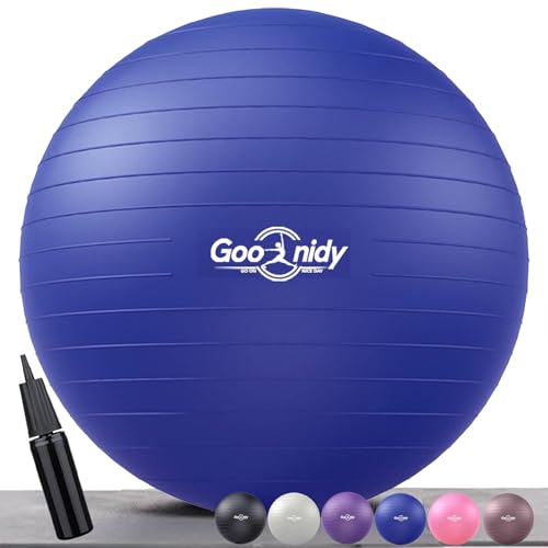 Image of Soft Exercise Ball, Anti-Burst Pilates Yoga Ball Chair Supports 2200lb, Workout Equipment w / Pump for Women Pregnancy, Medicine, Birthing, Physical Therapy, Stability, Excersing, Birth, Swiss, Fitness