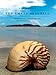 Produktbild The Empty Seashell: Witchcraft and Doubt on an Indonesian Island