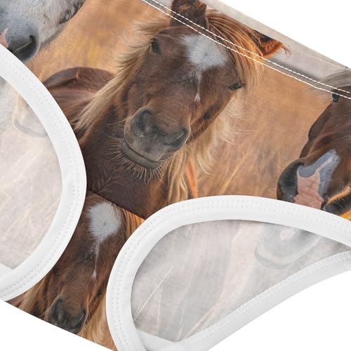 Toddler Underwear Floral 2t Cotton Panties for Girl Durable Briefs Underpants Cute Horses Grassland4