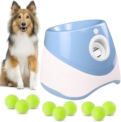 Bianstar {[@́A3 iK̋ߋ@\pŁAejX {[tĂAIXgXɂȂ܂B (,9̃{[)