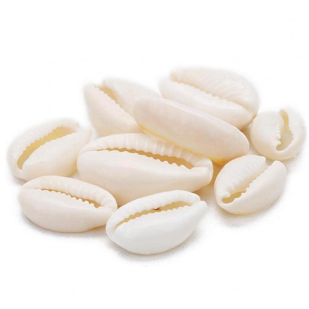 Pinicecore Beige White 50Pcs White Sea Shell Beads For Jewelry Making Cowrie Cowry Charm Beads Diy Necklace Bracelet