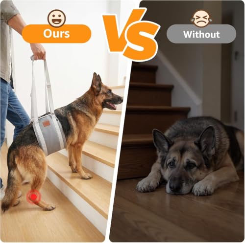 Image of Adjustable Dog Sling for Extra Large Dogs Mobility Aid for Weak Rear Legs