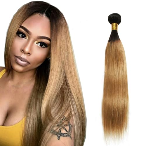 Tissage cheveux humains T1B/27 Ombre Brown extensions lisses et soyeuses 28 pouces Double Weft