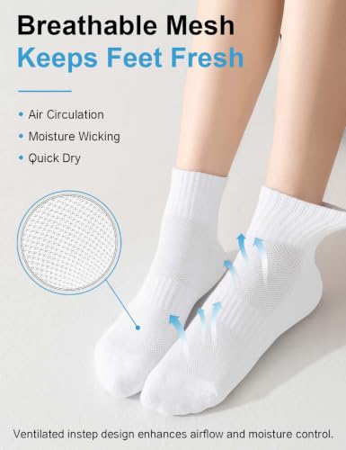Image of Womens Ankle Socks Cotton Mini Crew Cushioned Running Workout Socks 6 Pairs