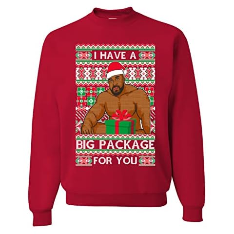 Wild Bobby I have a Big package Funny Ugly Christmas Sweater Unisex Crewneck Graphic Sweatshirt, Red, Large Cover