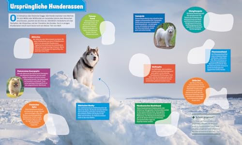 WAS IST WAS Stickerheft Hunde | Stickerspaß trifft Sachwissen | Über 100 wiederablösbare Sticker | Geschenk oder Mitbringsel für Kinder ab 8 Jahren