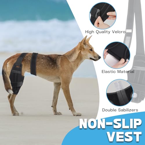 Image of Adjustable Dog ACL Knee Brace - Rear Leg Support for Cruciate Ligament Recovery, Arthritis & Joint Pain Relief (Left,XL)