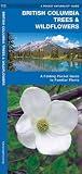 British Columbia Trees & Wildflowers (Pocket Naturalist Guide Series) by James Kavanagh (2005-03-15)