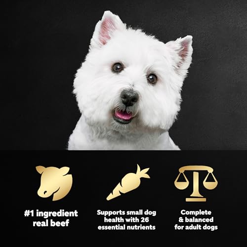 Image of Cesar Small Breed Dry Dog Food, Filet Mignon & Spring Vegetable, 2.7 lb | Made in USA, Real beef #1 ingredient, 26 essential nutrients, supports small breed health, no artificial flavors