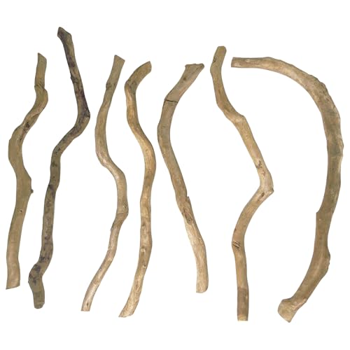 Hamiledyi VR ANAEp - bh[AEbh 25.4 cm-38.1 cm A\[g` (400g) SȎ} p̐঒ނ̐n - VRق̖ؐ(})