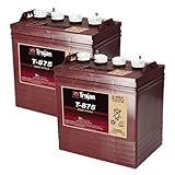 Trojan T875 8 Volt, 170 AH GC8 Deep Cycle Battery - 2 Pack