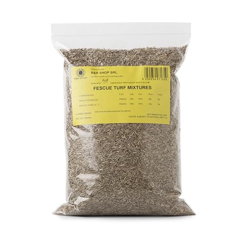 R&R SHOP - Semillas para Césped, Festuca Arundinacea, Resistentes y Duraderas (500gr - 20mq)