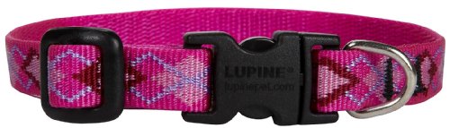 LupinePet 1/2-Inch Puppy Love 8-12-Inch Adjustable Dog Collar for...