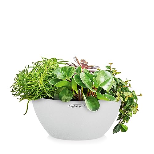 Lechuza Self Watering Plant Pot CUBETO Stone 30 Garden Flower Indoor and Outdoor Plastic Planter with Drainage Hole D30 H13 cm Quartz White - Image 2