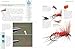 Fly Tying For Beginners: Hands-On Instructions for 50 Classic Fishing Flies