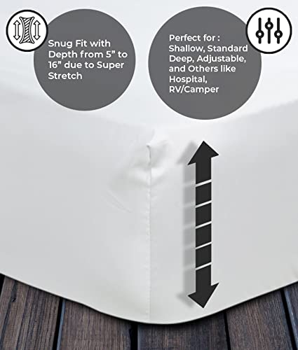 Lenenz 2 Pack Hospital Bed Sheet - Soft Jersey Twin Fitted Sheets - Knitted Fitted Hospital Bed Sheets (2, 36"X80"X9") #TOP4
