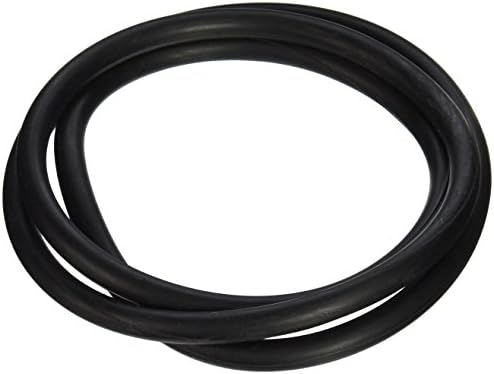 Pentair 152127 18-Inch O-Ring Tank 