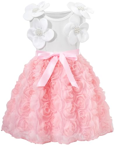 zarmfly Floral Embroidered Tulle Dress