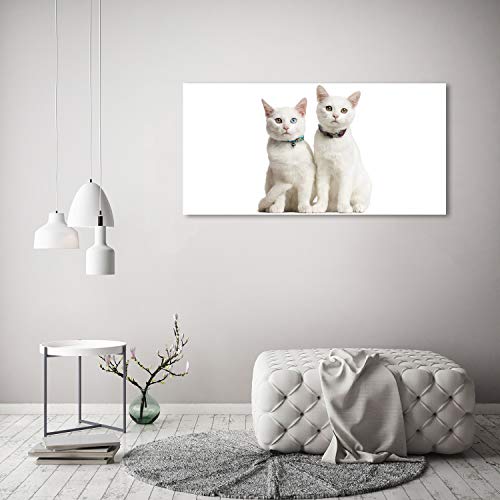 Impression sur verre chat blanc 120x60 tableau salon - 4