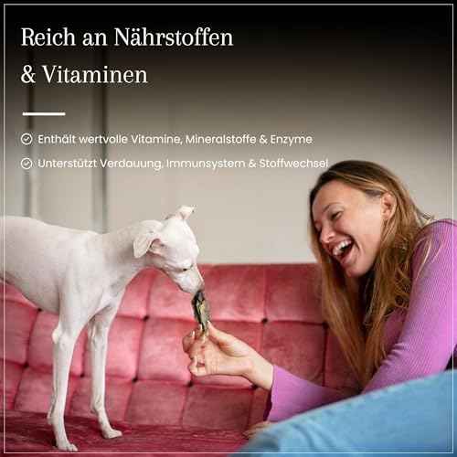 Dog Time Tiernahrung Pansen 1000g getrocknet I Gesunder Kausnack aus 100% Rind für Hunde I Hundeleckerli mit vielen wertvollen Vitaminen & ohne Zucker