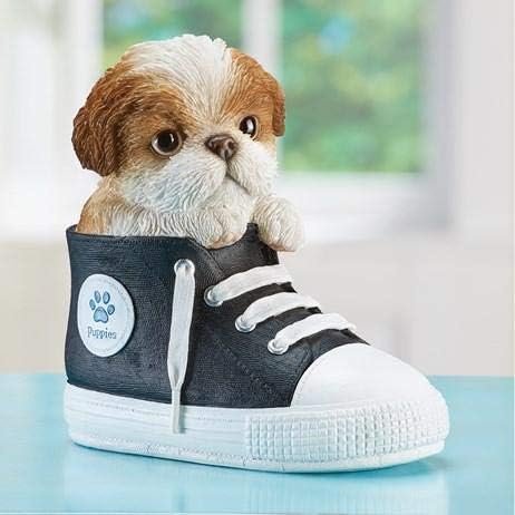 Zapatos para perros shih tzu Clearance