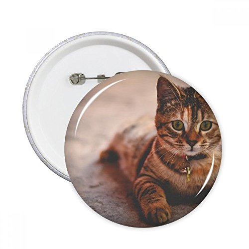 Badge photo chat cadeau animal original : grand pins rond multicolore XXL prêt à offrir