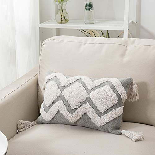 Blue Page SQ1029-GERY-30X45 Lumbar Small Decorative Throw Pillow Covers 12X20 Inch thumb #1