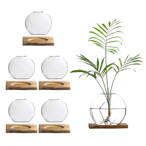 wangsdjy Glass Planter Propagation Station with Wooden Base - Clear