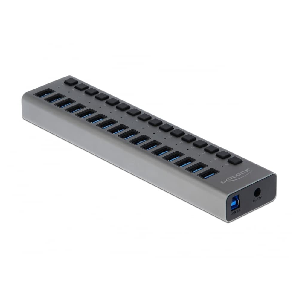 Delock Concentrador USB Externo SuperSpeed con 16 Puertos + Interruptor