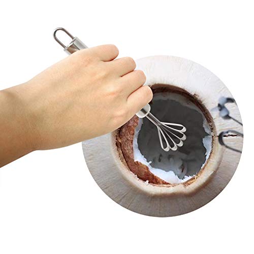 Honbay 2Pcs Stainless Steel Coconut Meat Scraper Fish Scaler Remover For Kitchen #TOP5