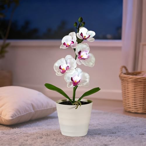 Image of Artificial White Phalaenopsis Orchid Flower Lamp, Flower Night Light for Bedroom Wedding Bar Coffee Shop Decor, Gifts for Women Mom Grandma Friend Birthday Christmas Valentines Mothers Day