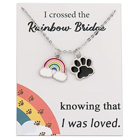 MYOSPARK Rainbow Bridge Pet Memorial Necklace Message Card Loss of Pet Cat & Dog Memorial Gifts Pet Lover Sympathy Gift (UK Rainbow Bridge NL) Cover