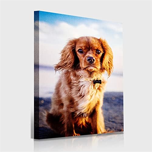 Custom Photo Canvas with Dog Picture Painting to Canvas Photo Prints Custom Portrait Painting from Photo and Cat Picture to Canvas Personalize Photo