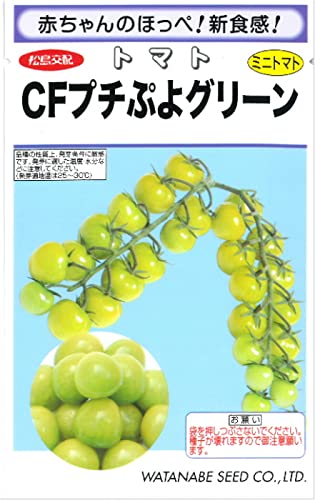 �~�j�g�}�g ��q �b�e�v�`�Ղ� �O���[�� 7��