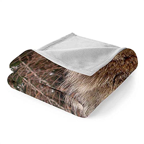 Couverture microfibre douce loup plaid flanelle haute densité - 7