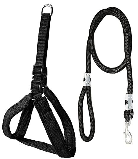 See full amazon price history chart for SR VISION Mesh Padded Nylon Dog Harness & Leash Rope for All Breeds Dogs (Chest Size - 25-34inch) - Black SR VISION Mesh Padded Nylon Dog Harness & Leash Rope for All Breeds Dogs (Chest Size - 25-34inch) - Black (B0B5N5HLM1) Amazon Price History, Amazon Price Tracker